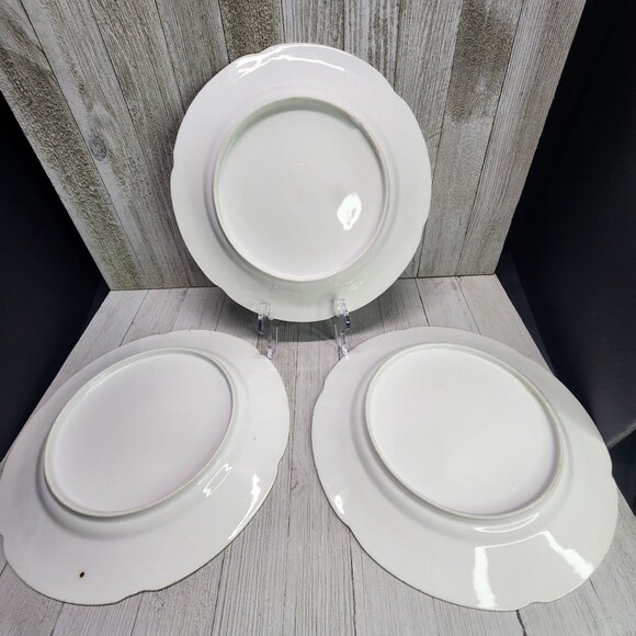 Vintage Bassett Limoges Dinner Plates Pink White Flower Austria 9.5 in Set Of 3 - Picture 6 of 11